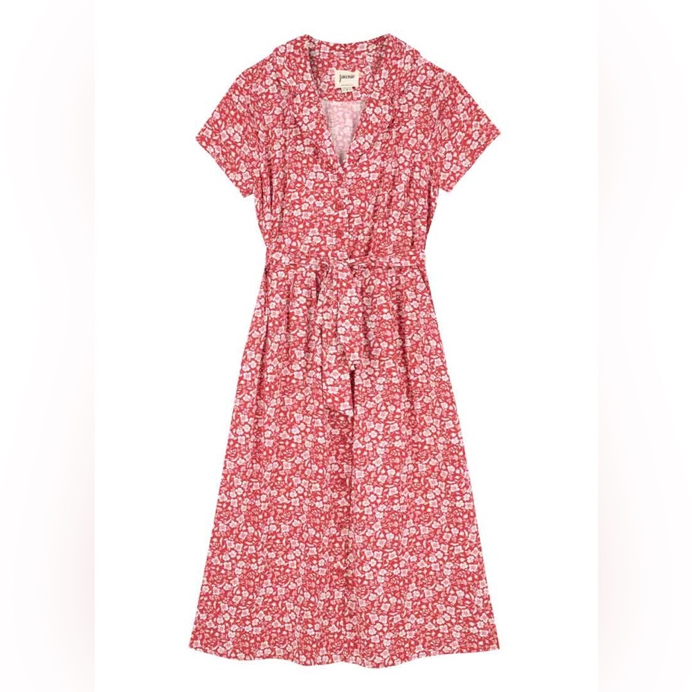 Joanie - Carly Ditsy Floral Print Button Down Dress
